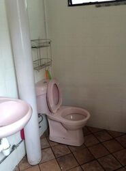 Blk 115 Hwi Yoh Ville (Serangoon), HDB 3 Rooms #481715361